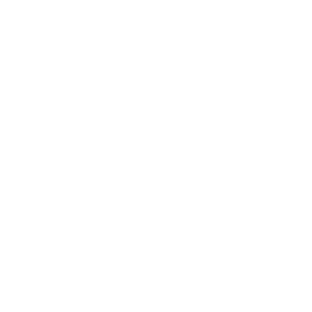 Het logo van Vuurwerk Naarden.